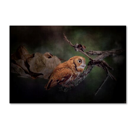 Trademark Fine Art Jai Johnson 'After The Acorns Fall' Canvas Art, 30x47 ALI13774-C3047GG